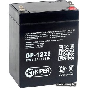 Купить Kiper GP-1229 F1 (12В/2.9 А·ч) в Минске, доставка по Беларуси