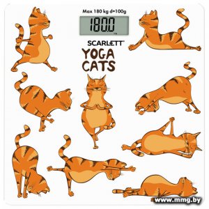 Купить Scarlett SC-BS33E077 в Минске, доставка по Беларуси