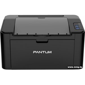 Pantum P2500