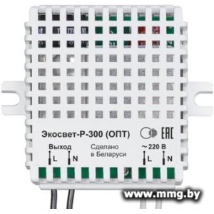 Купить Датчик Ноотехника Экосвет-Р-300 в Минске, доставка по Беларуси