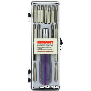 Набор отвертка с битами Rexant 12-4704 (16 предметов)