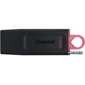 256GB Kingston Exodia DTX/256GB