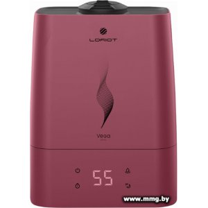 Loriot Vega LHS-C530E