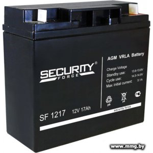 Security Force SF 1217 (12В/17 А·ч)