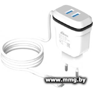 Купить Зарядное устройство Ritmix RM-2082M в Минске, доставка по Беларуси