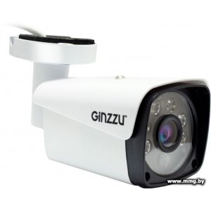 IP-камера Ginzzu HIB-2301S