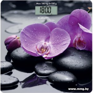 Купить Scarlett SC-BS33E067 в Минске, доставка по Беларуси