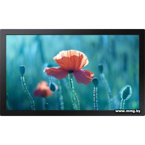 Купить Samsung QB13R в Минске, доставка по Беларуси