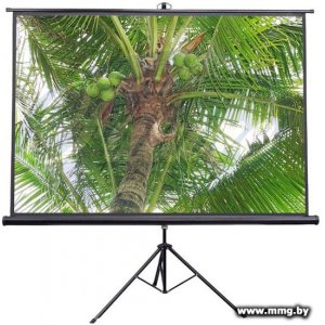 Купить Future Vision Tripod 160x160 T160SMW в Минске, доставка по Беларуси