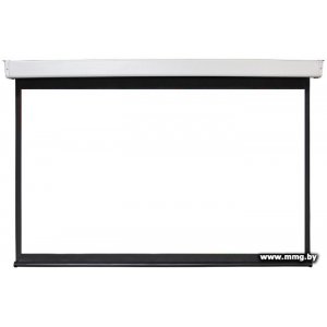 Купить Future Vision Video Electric 408x308 E400VMW в Минске, доставка по Беларуси
