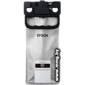 Картридж Epson C13T01C100