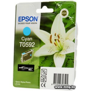 Картридж Epson C13T05924010