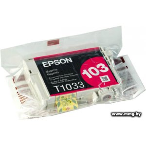Картридж Epson C13T10334A10