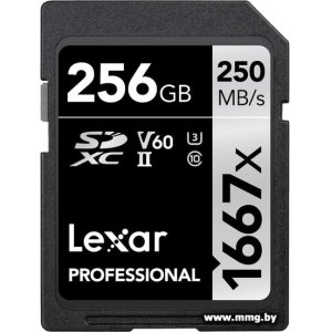 Lexar 256GB SDXC LSD256CB1667