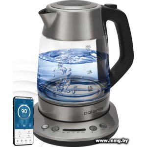 Купить Чайник Polaris PWK 1775CGLD Wi-Fi IQ Home в Минске, доставка по Беларуси