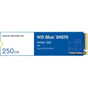 SSD 250GB WD Blue SN570 WDS250G3B0C