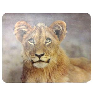 Купить Buro BU-M40030 в Минске, доставка по Беларуси