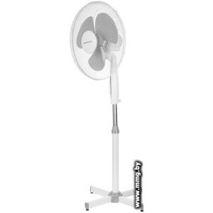 Купить Normann ACF-191 в Минске, доставка по Беларуси