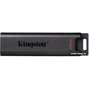 256GB Kingston DataTraveler Max Type-C DTMAX/256GB