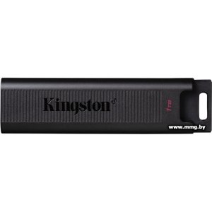 Купить 1TB Kingston DataTraveler Max DTMAX/1TB в Минске, доставка по Беларуси
