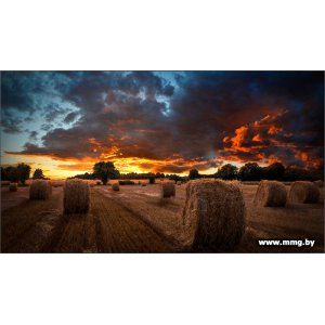 Купить Samsung VM46T-U LH46VMTUBGBXCI в Минске, доставка по Беларуси