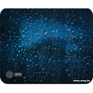 Купить CACTUS CS-MP-P05XS в Минске, доставка по Беларуси