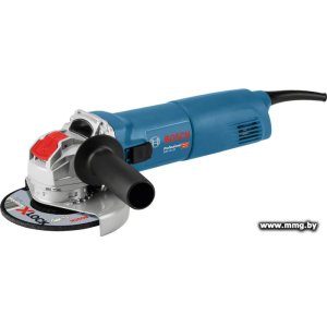 Bosch GWX 14-125 Professional 06017B7000