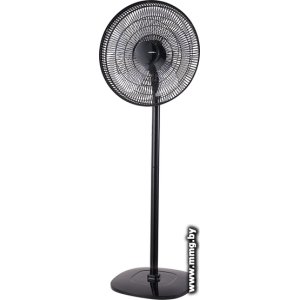 Купить CENTEK CT-5024 (черный) в Минске, доставка по Беларуси