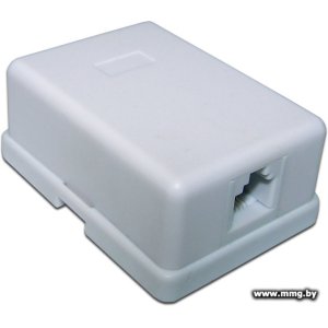 Купить Розетка TWT TWT-SS1-12-WH (1 порт) RJ-12 в Минске, доставка по Беларуси