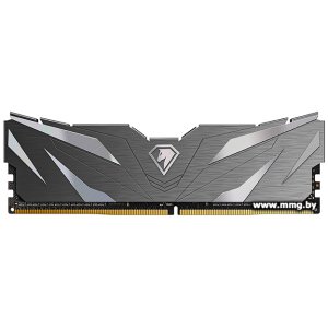 16GB PC4-21300 Netac NTSWD4P26SP-16K