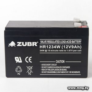 Zubr HR1234W 12V9Ah