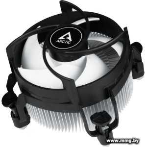 Arctic Alpine 17 ACALP00040A