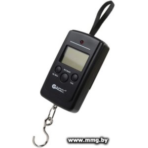 Купить Garin Точный Вес DS2 в Минске, доставка по Беларуси