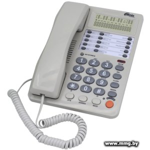 Ritmix RT-495 (белый)