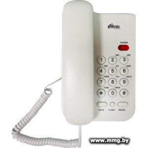 Ritmix RT-311 (белый)