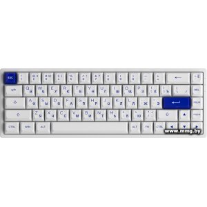 Akko 3068B Plus White & Blue (Akko CS Jelly Pink)
