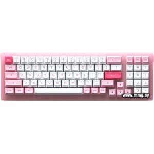 Akko ACR 98 Mini Prunus Lannesiana (Akko CS Jelly White)