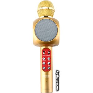 Купить Микрофон Wster WS-1816 (золотистый) в Минске, доставка по Беларуси