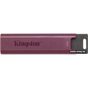 1TB Kingston DataTraveler Max Typ A DTMAXA/1TB