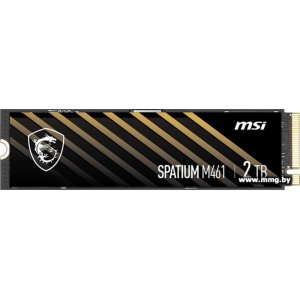 SSD 2TB MSI Spatium M461 S78-440Q550-P83