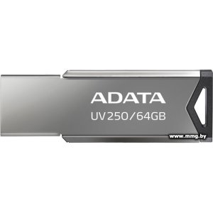 Купить 64GB ADATA UV250 AUV250-64G-RBK (серебристый) в Минске, доставка по Беларуси