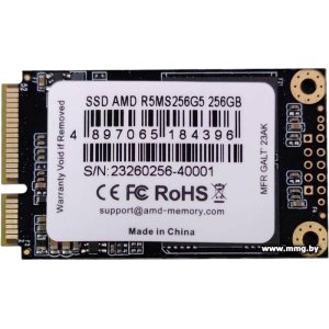 SSD 256GB AMD Radeon R5 R5MS256G5