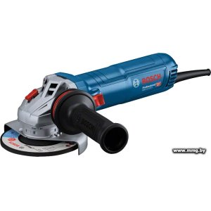 Bosch GWS 12-125 S Professional 06013A6020