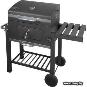 Купить Fieldmann FZG 1008 в Минске, доставка по Беларуси