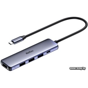 Купить Док-станция Netac WF13 NT08WF13-30GR (WF13GYCN) в Минске, доставка по Беларуси