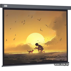 Купить CACTUS Wallscreen 124x221 CS-PSW-124X221-SG в Минске, доставка по Беларуси