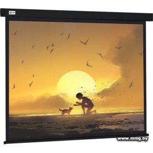 Купить CACTUS Wallscreen 150x150 CS-PSW-150X150-BK в Минске, доставка по Беларуси