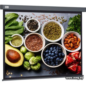 Купить CACTUS Wallscreen 150x150 CS-PSW-150X150-SG в Минске, доставка по Беларуси