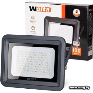 Купить Уличный прожектор Wolta WFL-100W/06 в Минске, доставка по Беларуси