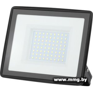 Прожектор ЭРА LPR-023-0-65K-100